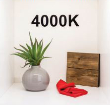 4000K Sample
