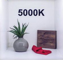 5000K Sample